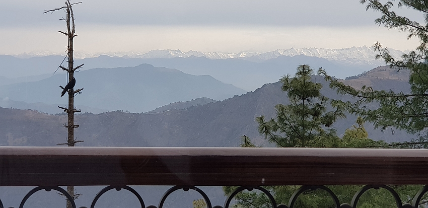 Views of Himalayas from Chail