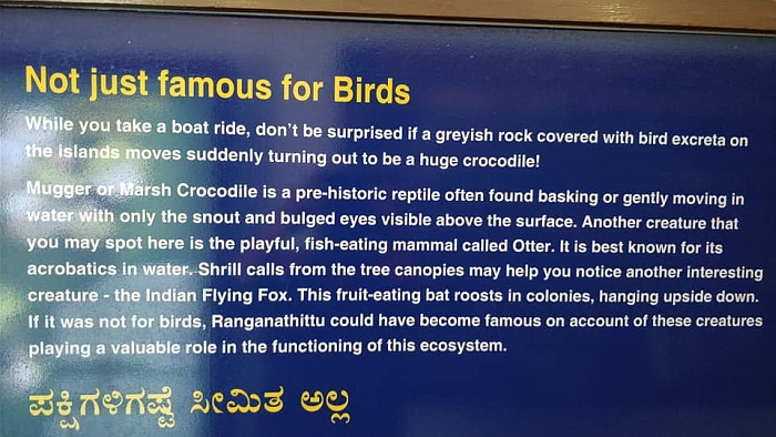 Ranganathittu Bird sanctury