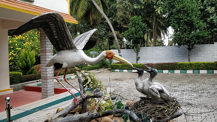 Ranganathittu Bird sanctury